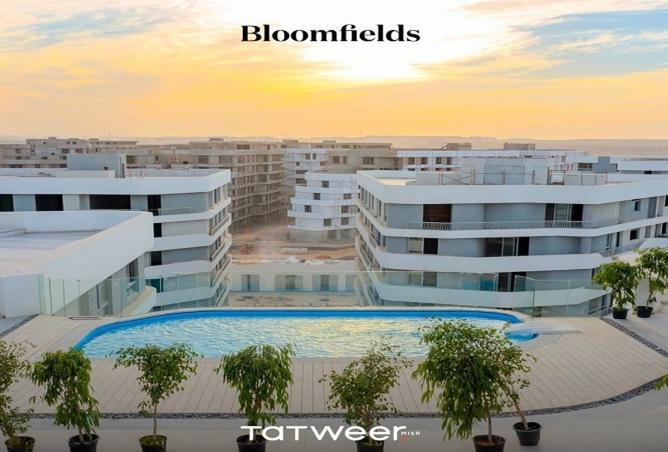 7936665 - Property Image 3