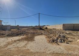 Land for للبيع in Cairo   Borg Al Arab Desert Road - King Mariout - Hay Al Amereyah - Alexandria