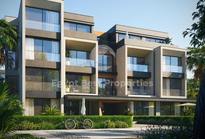 8118008 - Property Image 3