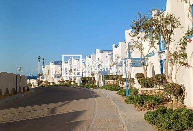 8392595 - Property Image 3