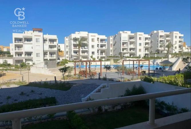 7906791 - صورة العقار 2