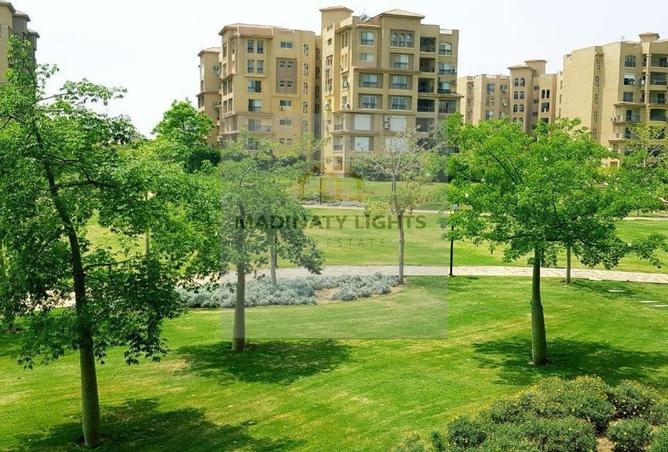 8067897 - صورة العقار 3