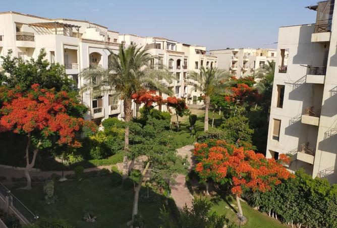 8488266 - صورة العقار 3