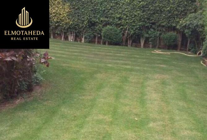 8334085 - Property Image 2