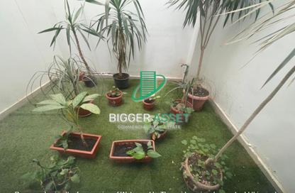 Office Space - Studio - 3 Bathrooms for rent in Street 264 - New Maadi - Hay El Maadi - Cairo
