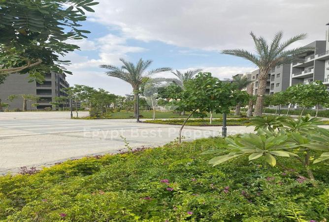 8216498 - صورة العقار 2