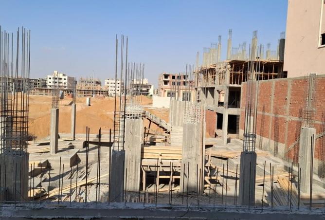 8131132 - Property Image 3