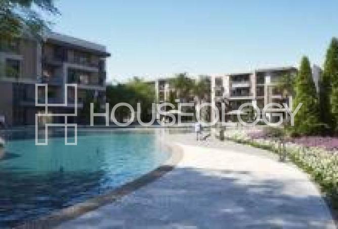 8393470 - Property Image 3