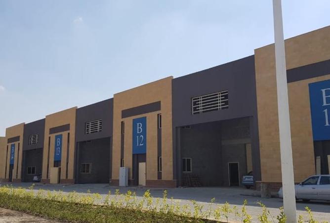 8061548 - صورة العقار 3