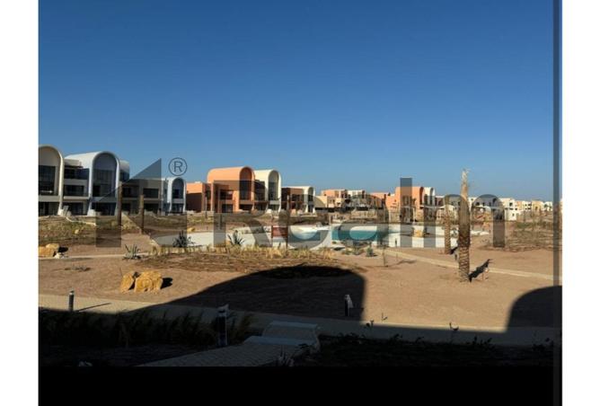 8237019 - Property Image 3