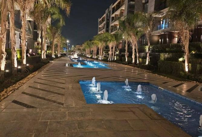 8538959 - Property Image 3