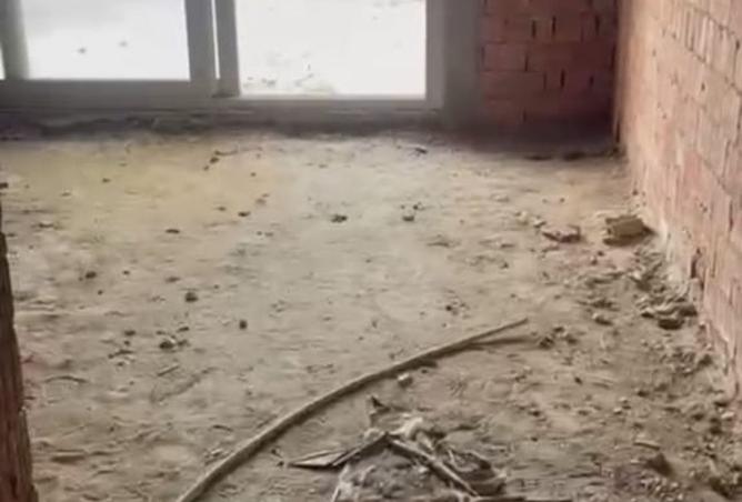 8436795 - Property Image 2