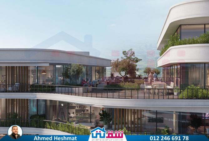 7929263 - Property Image 2
