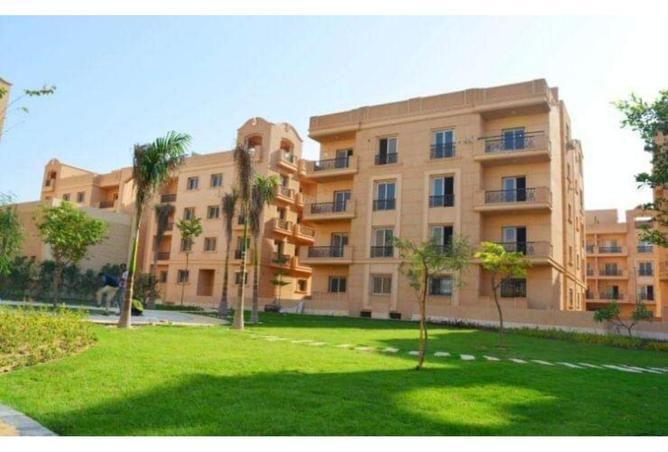 8342527 - صورة العقار 2