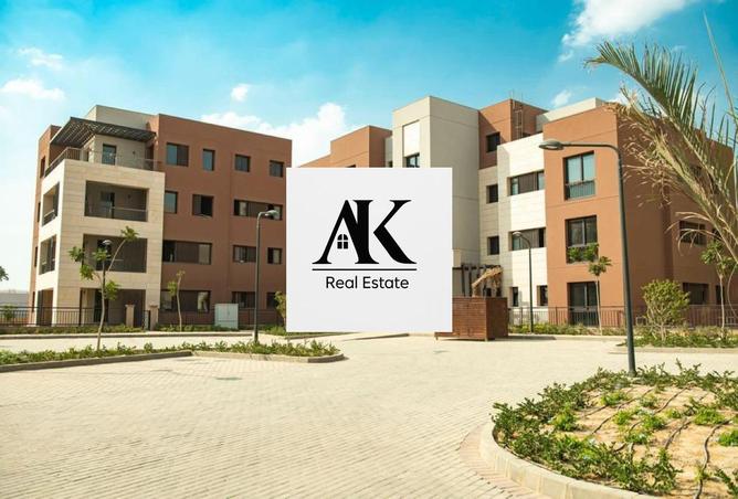 8542589 - Property Image 3