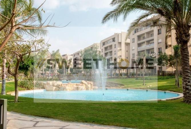 8315967 - Property Image 3