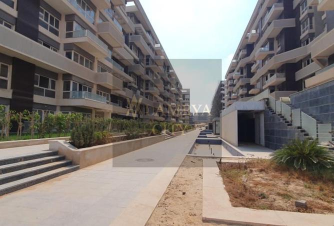 8517046 - Property Image 3