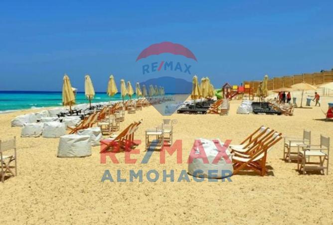 7976494 - Property Image 3
