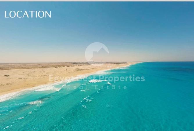 8410851 - Property Image 3