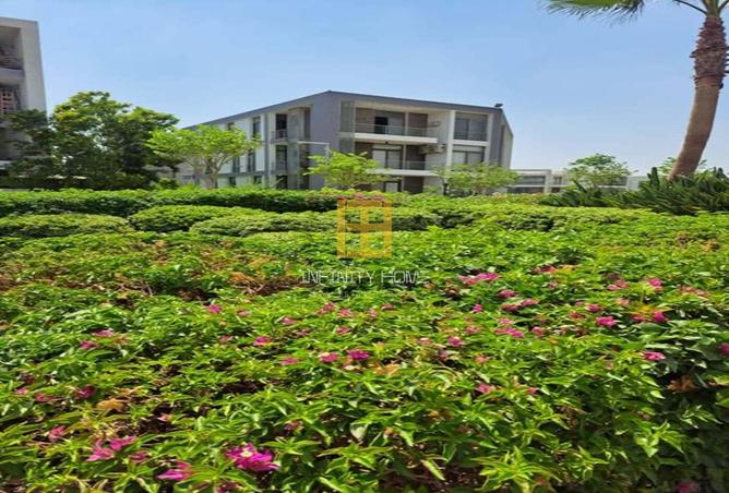 7974765 - Property Image 3