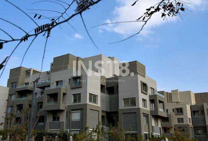 8076862 - Property Image 3