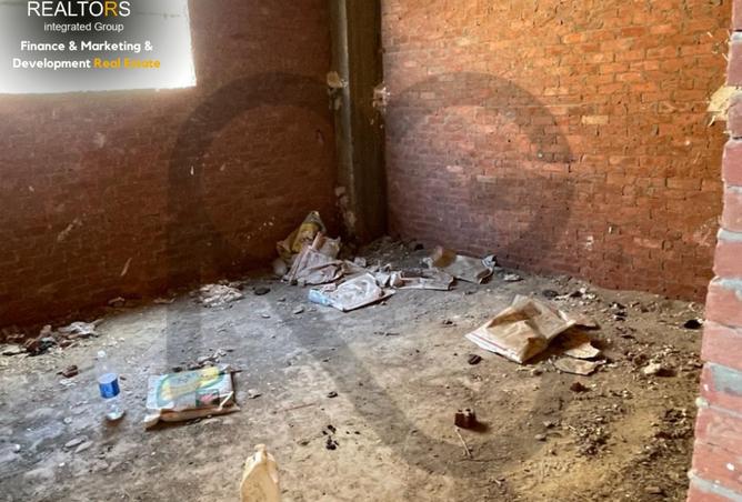 7986956 - Property Image 3