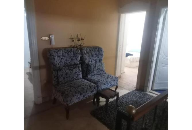 8136132 - Property Image 3