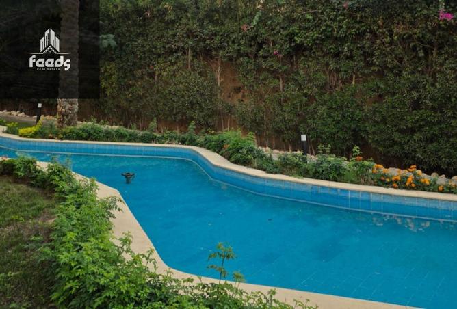 8258784 - Property Image 2