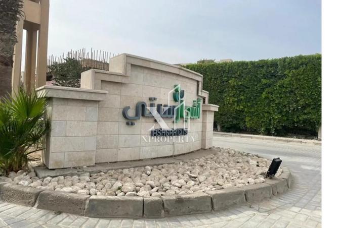 8407527 - Property Image 2