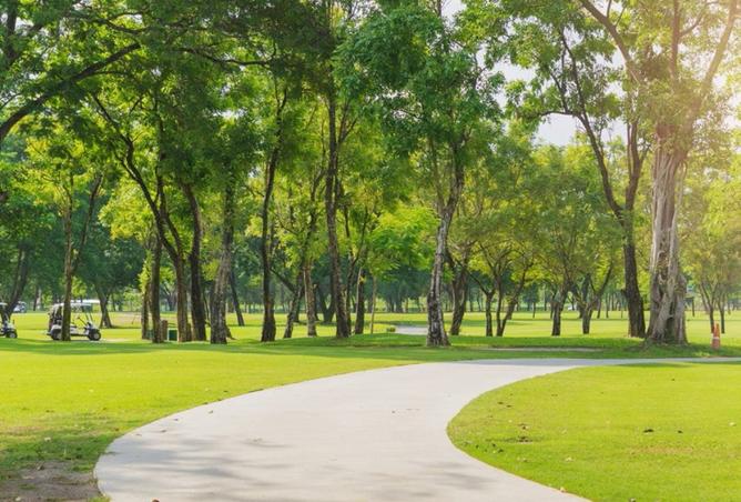 8439241 - Property Image 3