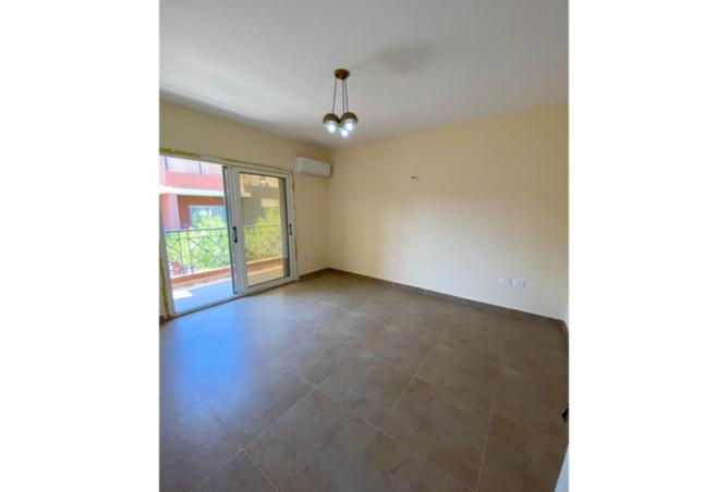 8153195 - Property Image 3