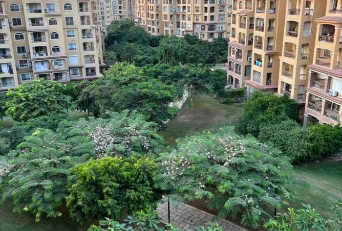 8562296 - صورة العقار 2