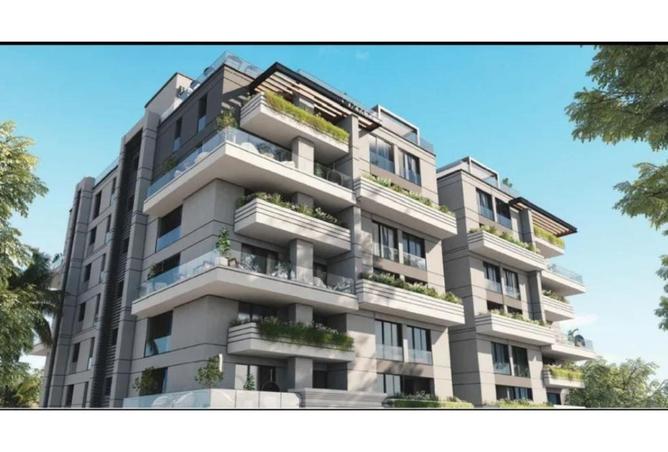 8190194 - Property Image 2