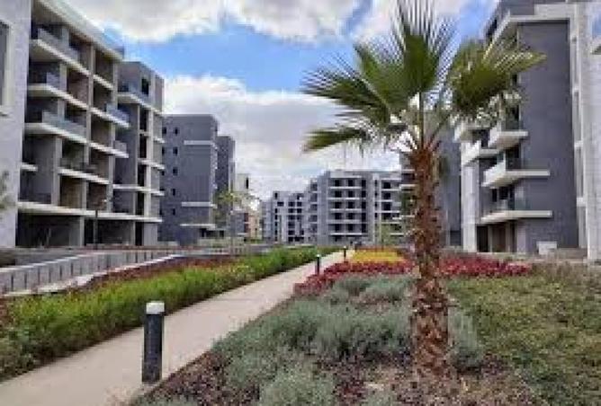 8087126 - Property Image 3