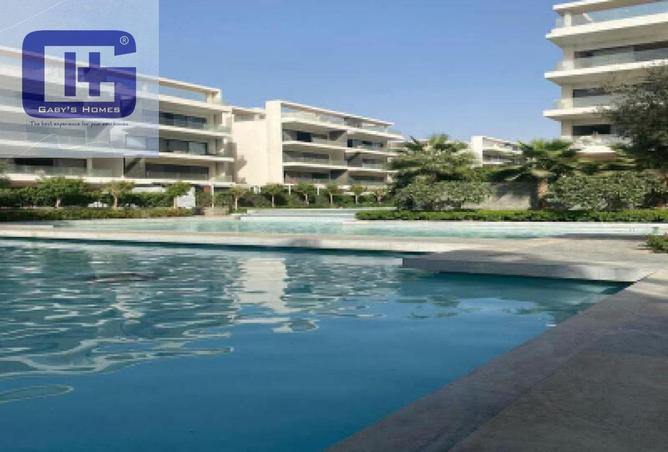 8442877 - Property Image 3