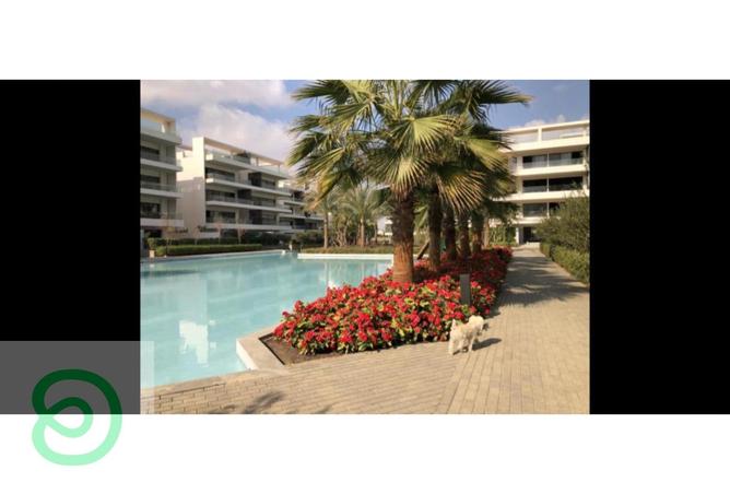 8421685 - Property Image 2