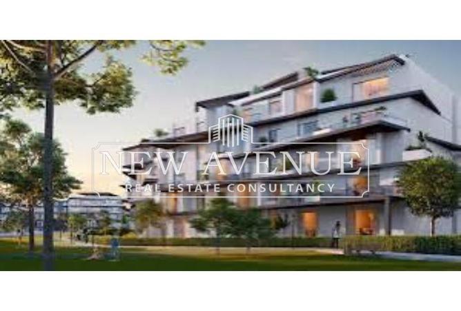 7973592 - Property Image 2