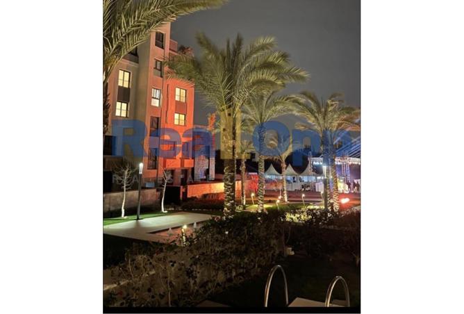 8166231 - صورة العقار 2