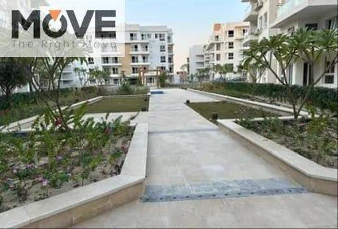 7974327 - Property Image 3