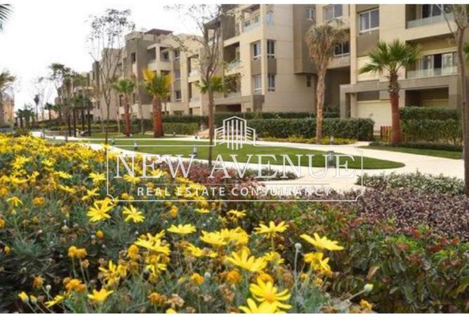 8302106 - صورة العقار 3