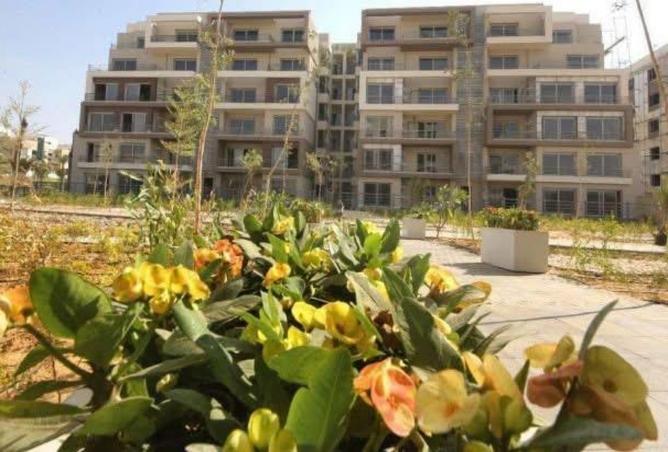 8332011 - Property Image 2