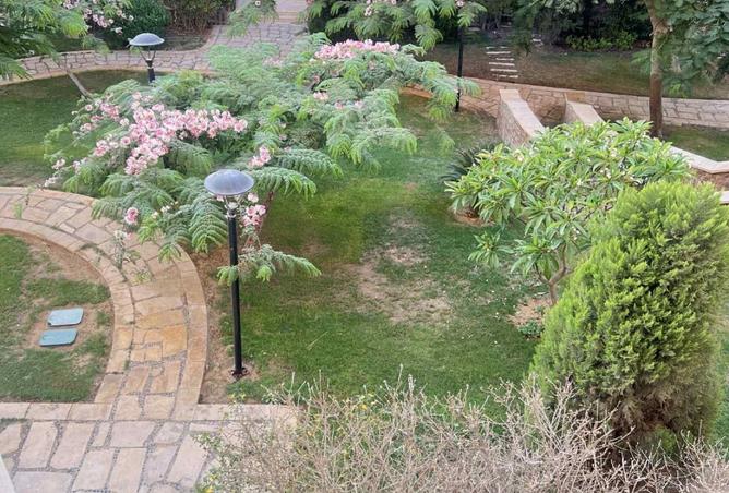 7935082 - صورة العقار 2