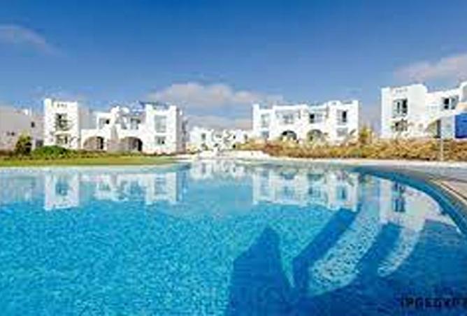 8199274 - صورة العقار 3