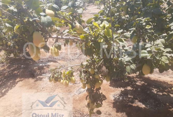 8282925 - Property Image 3