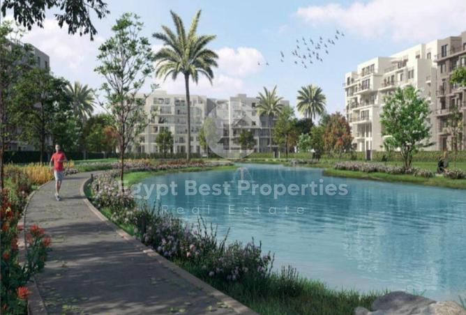 8196272 - Property Image 2