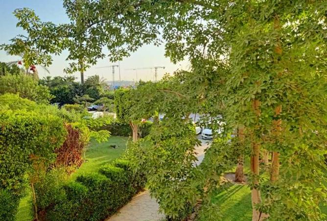 8002620 - Property Image 2