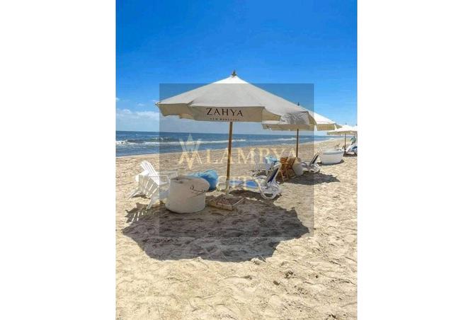 8127118 - Property Image 3