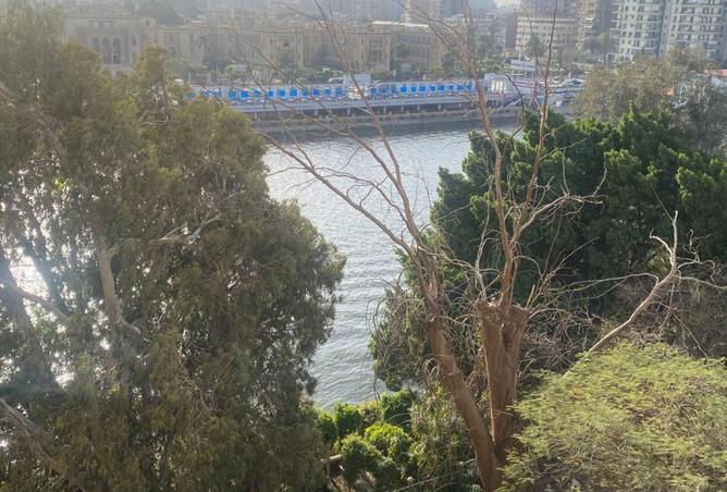 8099997 - صورة العقار 2