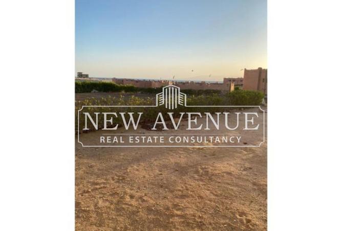 8194401 - Property Image 2