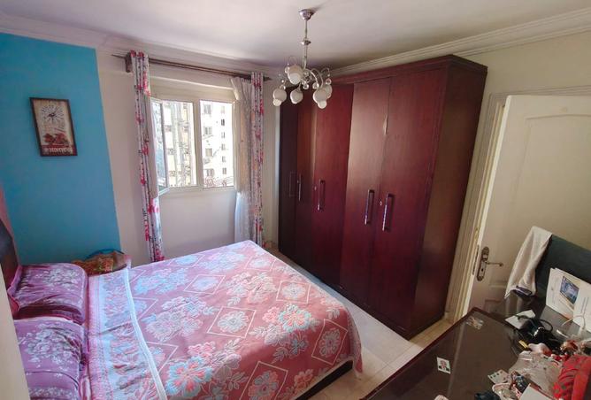 8280631 - Property Image 3